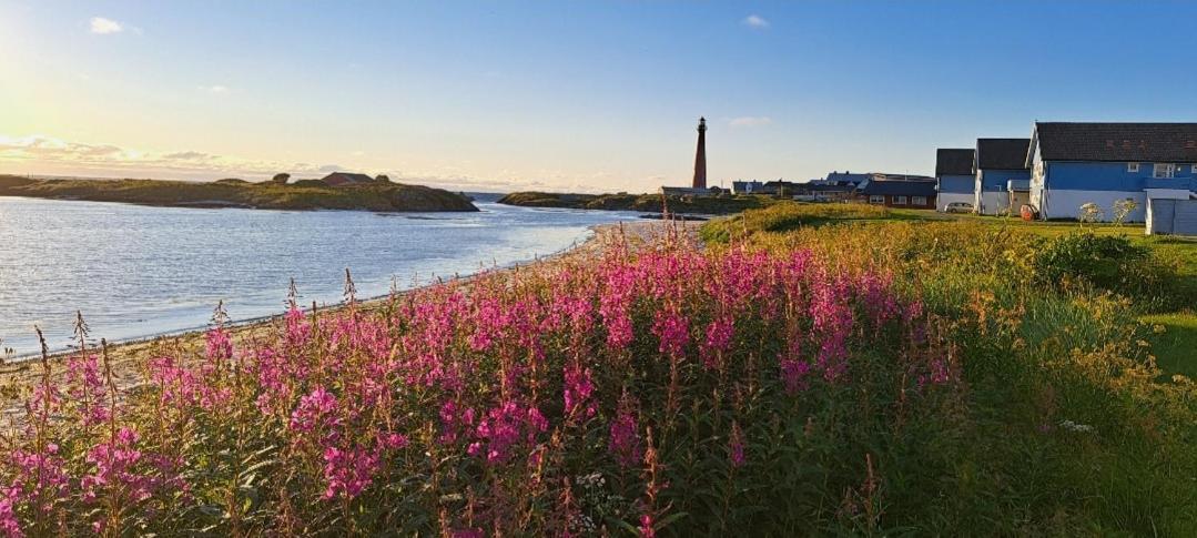 Sentral Studioleilighet Ved Stranden Og Hvalsenter Nb Ma Vaskes Etter Endt Leie Eller Betale Rengjoringshjelpen 500 Kr Andenes Kültér fotó