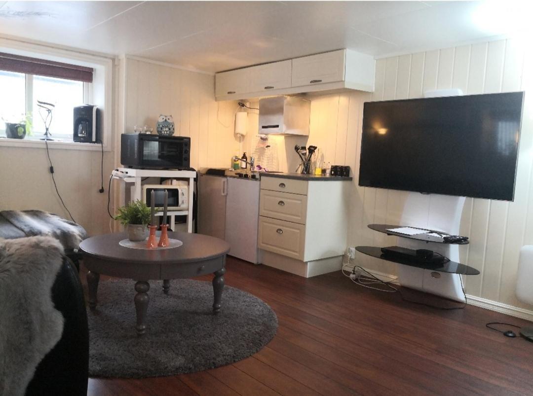 Sentral Studioleilighet Ved Stranden Og Hvalsenter Nb Ma Vaskes Etter Endt Leie Eller Betale Rengjoringshjelpen 500 Kr Andenes Kültér fotó
